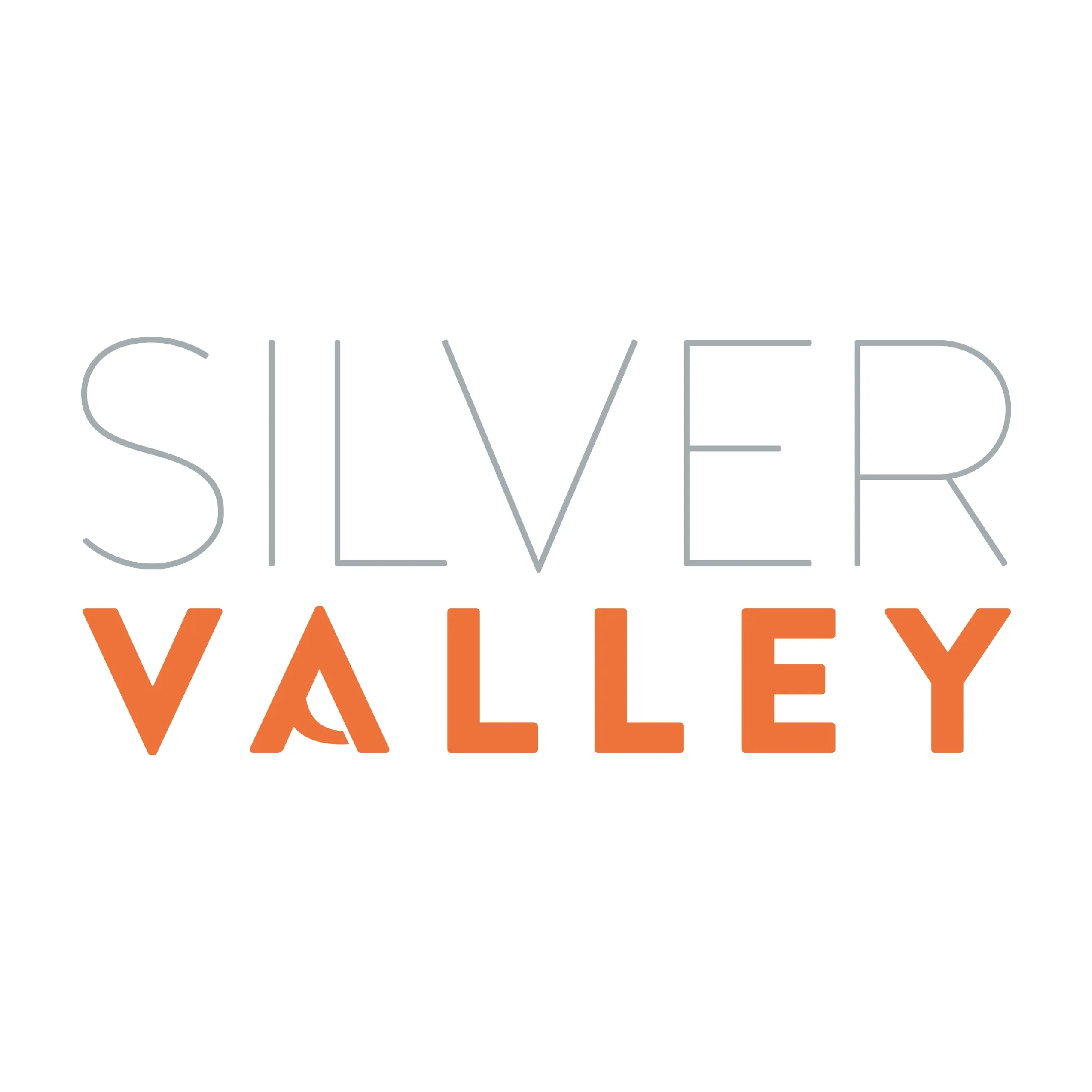 Silver valley